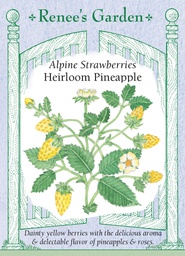 [5875] Renee's Garden Strawberries Alpine Heirloom Pineapple