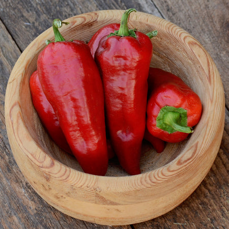 Territorial Seed Company Sweet Pepper - Thumbnail 2
