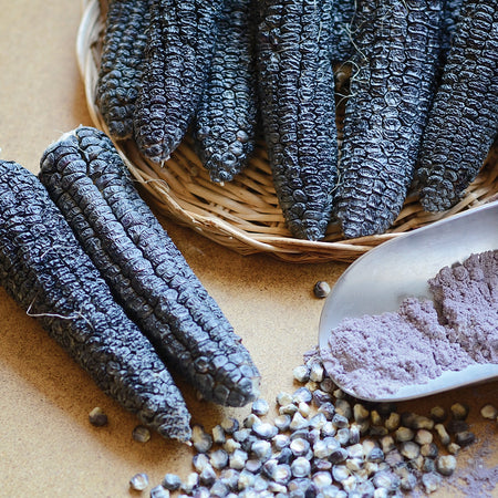 [300017] Territorial Seed Company Sweet Corn Hooker's Indian