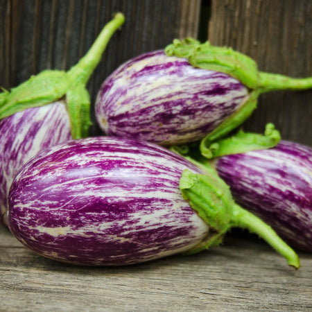 [300138] Territorial Seed Company Eggplant Listada De Gandia