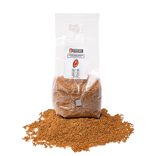 [MSGM-3LB] MushroomSupplies Mushroom Grain Spawn Bag, 3 lb