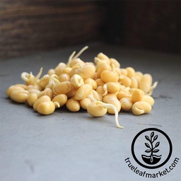 [17038] Handy Pantry Yellow Soybean Organic Sprouting Seeds, 8 oz
