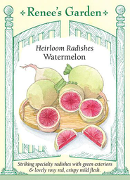 [5866] Renee's Garden Heirloom Radishes Watermelon