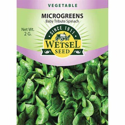 [WET29099] Wetsel Seed Microgreens Baby Tribute Spinach Seed, 2 g