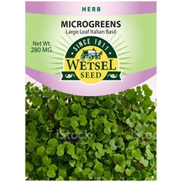 [WET45209] Wetsel Seed Microgreens Large Leaf Italian Basil Seed