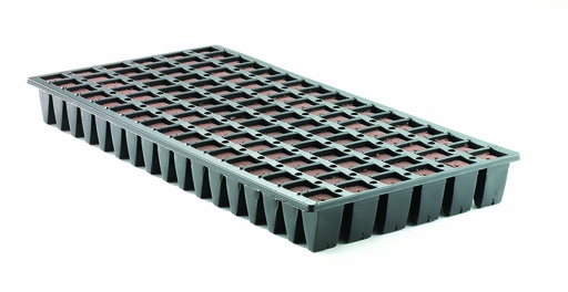 [5643] Oasis Wedge Tray, 10-Pack