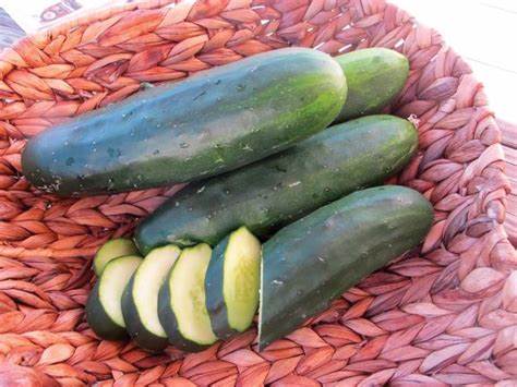 [CU292/L] Territorial Seed Company Cucumber Marketmore 97, 1 g