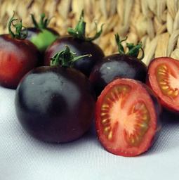 [TM873/L] Territorial Seed Company Tomato Indigo Rose Organic, 20 seeds