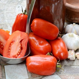 [TM996/L] Territorial Seed Company Tomato San Marzano Organic, 1/8 g