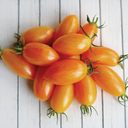 [TM999/L] Territorial Seed Company Tomato Cherry Blush Organic, 25 seeds