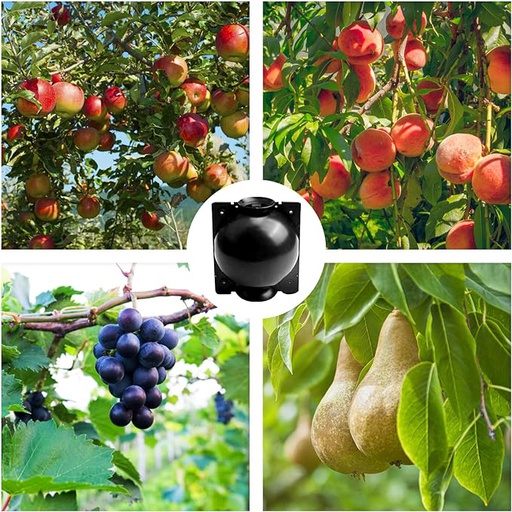 [ALPodsSM] Air Layering Pod Propagation Ball, Small