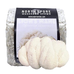 [SAWDUST-HE1] North Spore Organic Lion's Mane Mushroom Sawdust Spawn