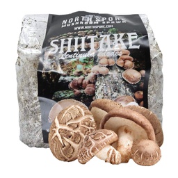[SAWDUST-LE3] North Spore Organic Shiitake Mushroom Sawdust Spawn