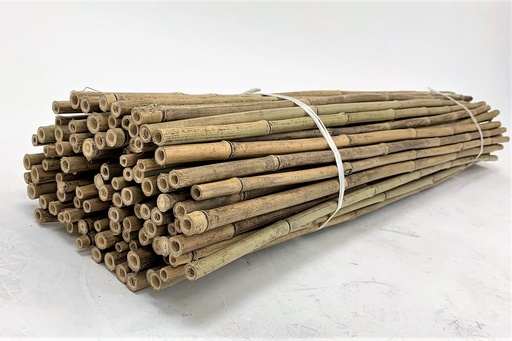 Bamboo Bulk