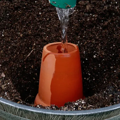 [OllaMed] OLLA MEDIUM - 1.5 Quart